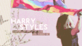I study Rainbows - harry-styles fan art
