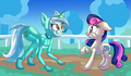Ponies  - my-little-pony-friendship-is-magic photo