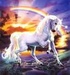 Rainbow unicorn - unicorns icon