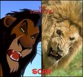 Scar's reality - the-lion-king fan art