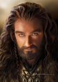 Thorin - lord-of-the-rings fan art