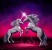Unicorns - unicorns icon