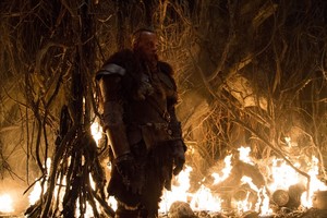  Vin Diesel as Kaulder in The Last Witch Hunter