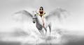 Wonder Woman rides on her Noble Beautiful Pegasus Steed - wonder-woman fan art