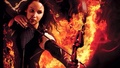 ✖ Katniss Everdeen ✖ - katniss-everdeen photo