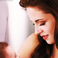Bella and her little nudger - twilight-series photo