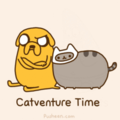 Catventure Time!!! - adventure-time-with-finn-and-jake photo