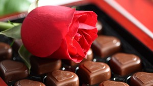  चॉकलेट and Rose