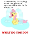Fluttershy Cries - my-little-pony-friendship-is-magic photo