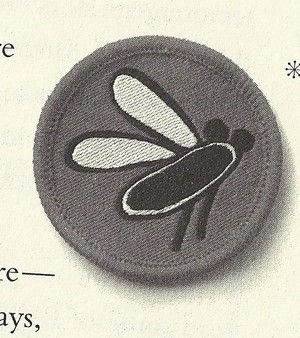  Fly Badge