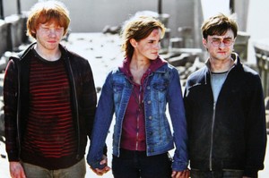  Harry Ron and Hermione