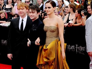 Harry Ron and Hermione