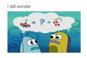  I still wonder