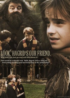  Look, Hagrid's our friend