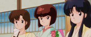 Ranma ½ The Tendo Sisters (Kasumi, Nabiki, and Akane)