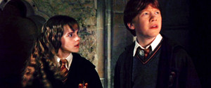  Ron and Hermione COS