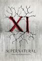 Season 11 - supernatural fan art