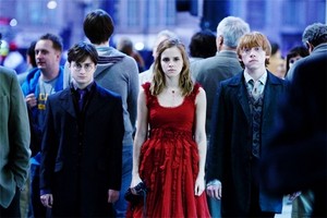 The Golden Trio harry ron and hermione