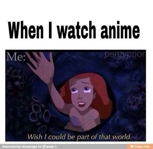 When I watch anime