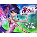 Winx Club - the-winx-club photo