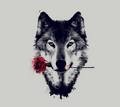 Wolf - wolves fan art