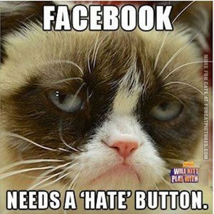  Facebook grump