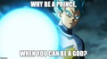 vegeta ssgss why be a prince when you can be a god - dragon-ball-z photo