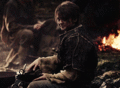 Arya Stark + Smile - game-of-thrones fan art