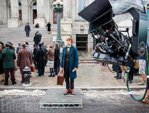  Fantastic Beast and Where to Find Them - First foto-foto