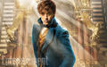 Fantastic Beasts And Where To Find Them Hd Film