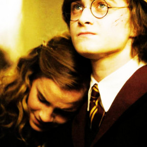  Harry and Hermione peminat Art