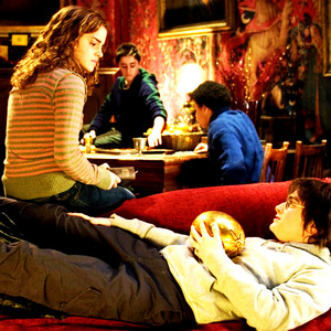 Harry and Hermione Fan Art