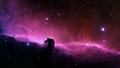 space - Horsehead Nebula wallpaper