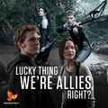 Allies - the-hunger-games photo