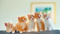 Kittens - cats wallpaper