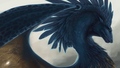 dragons - Majestic Dragon wallpaper
