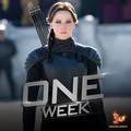 One Week - the-hunger-games photo