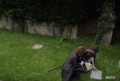 Outlander Season 2 Teaser Screencap - outlander-2014-tv-series photo