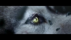  She wolf (Falling To Pieces) {Music Video}