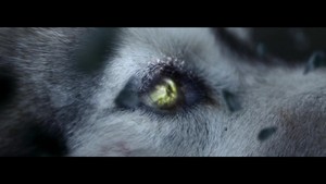 She Wolf (Falling To Pieces) {Music Video} 