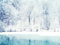 Winter - photography photo