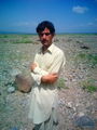 parachinar asim tanha - shahid-afridi photo