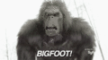 BIGFOOT! - random photo