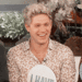 Niall  - one-direction icon