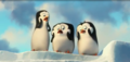 Oh my. - penguins-of-madagascar photo