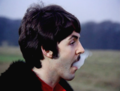 Paul McCartney  - paul-mccartney photo