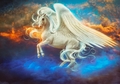 Pegasus  - fantasy photo