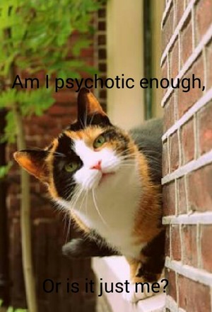  Psychotic cat?