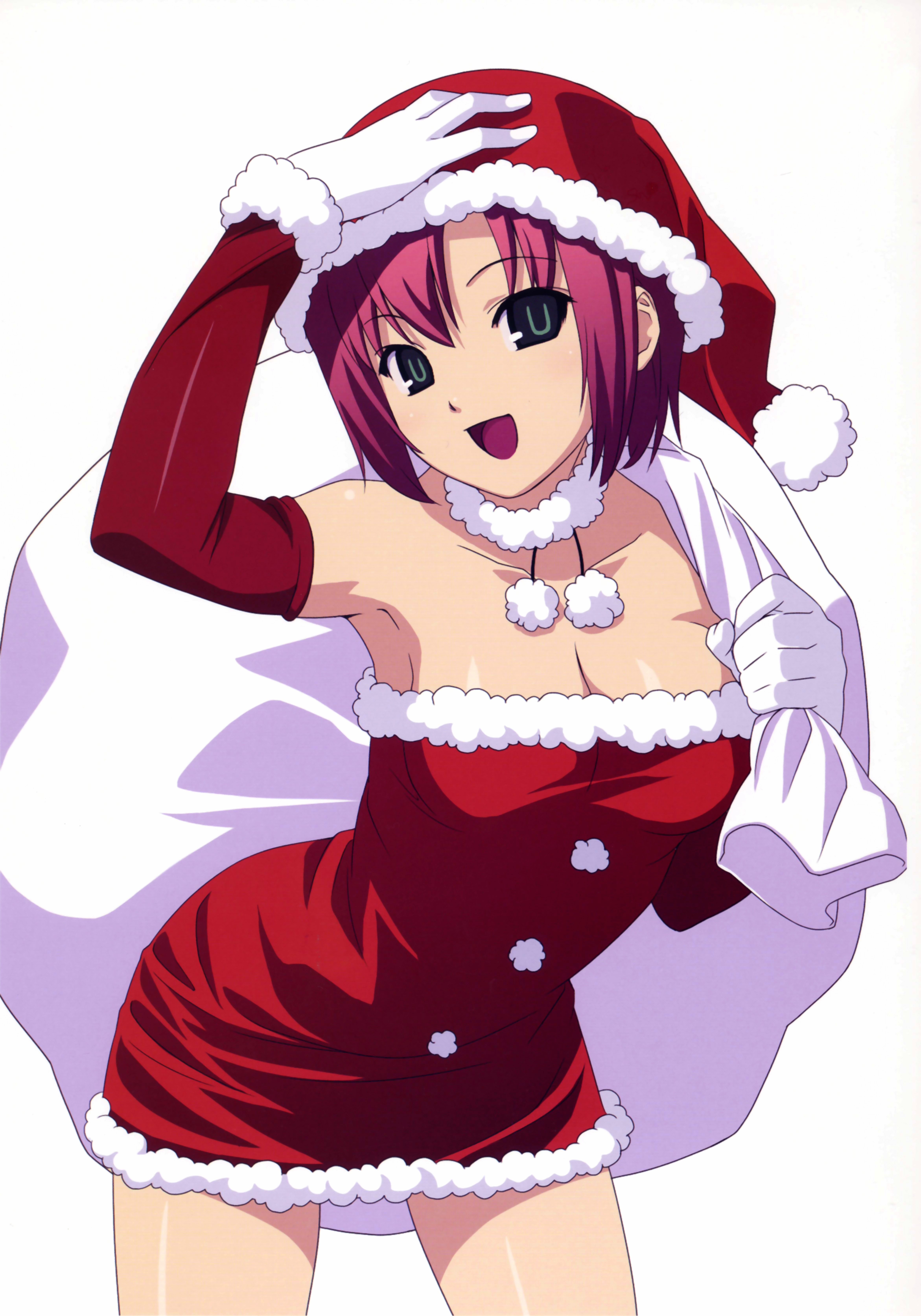 Rio Rollins Tachibana Sexy Santa - Sexy, hot anime and characters Fan Art  (39142966) - Fanpop