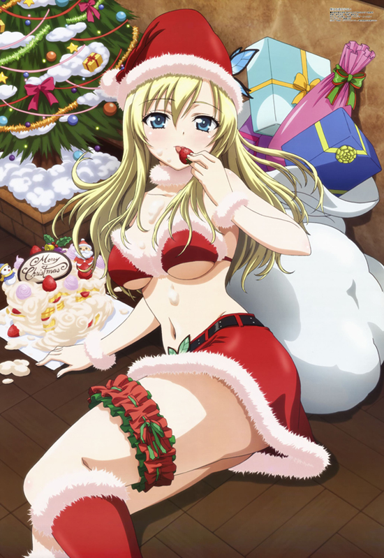 Sena Kashiwazaki Sexy Santa - anime và các nhân vật nóng bỏng, quyến rũ  người hâm mộ Art (39142949) - fanpop